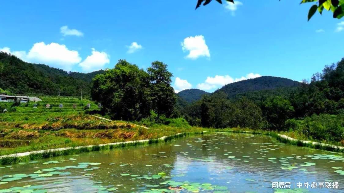 稍早前音频推广精准化定制您的网络平台,推广效率之选,快手涨单官网：短视频营销新策略助力业务增长